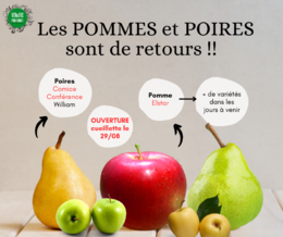 RETOUR pomme + poire